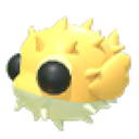 Puffer Fish
